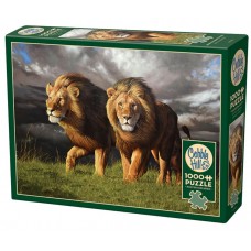 Cobble Hill Jigsaw Puzzle: Approaching Storm